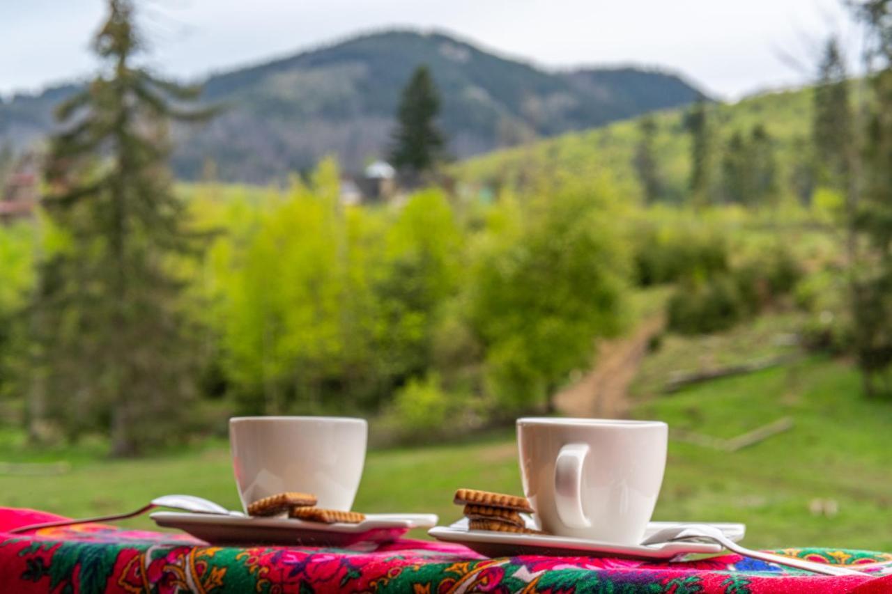 Bialy Mis Apartamenty Art & Design Zakopane Exterior photo