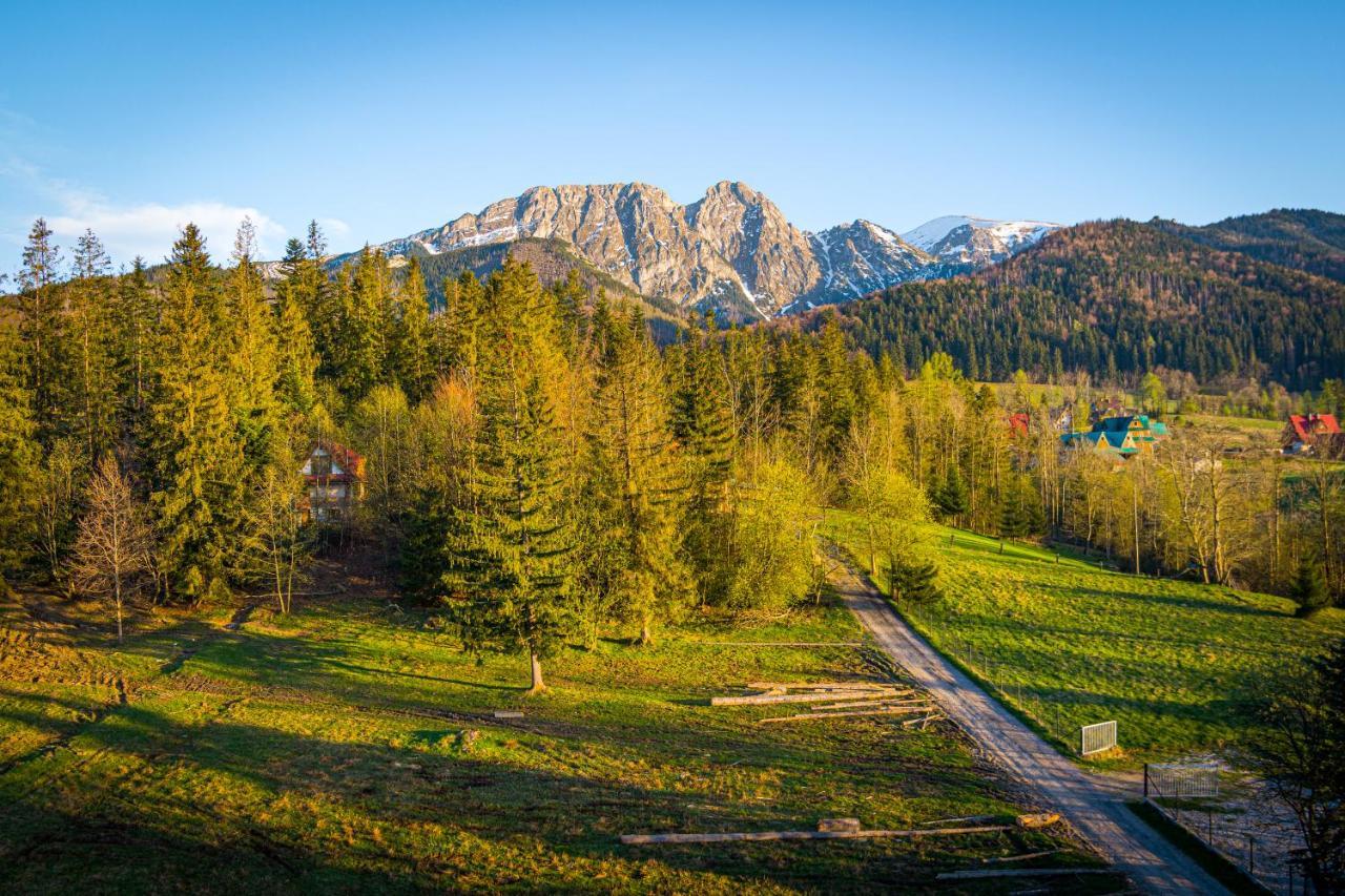 Bialy Mis Apartamenty Art & Design Zakopane Exterior photo