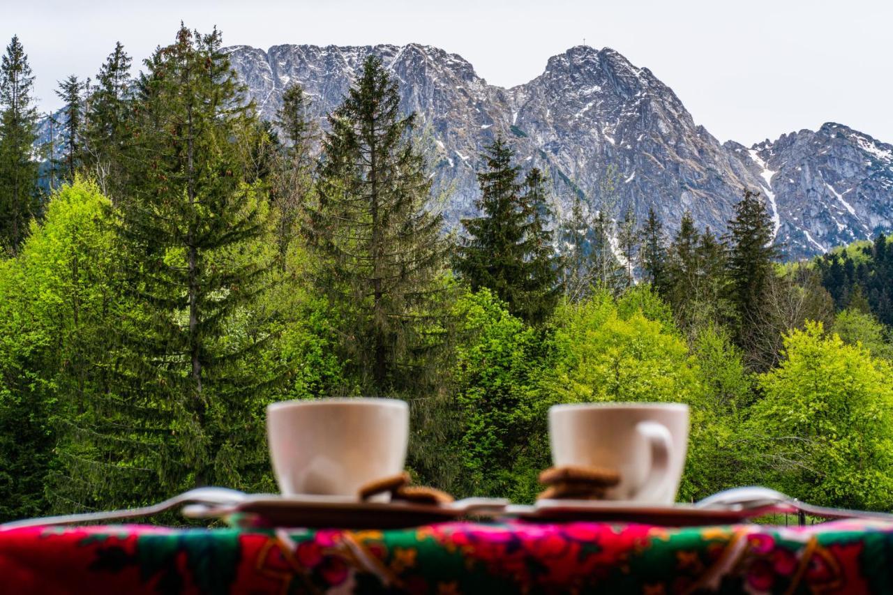 Bialy Mis Apartamenty Art & Design Zakopane Exterior photo